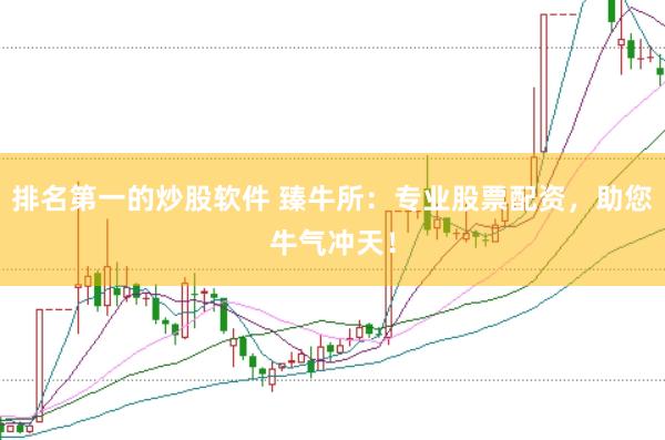 排名第一的炒股软件 臻牛所：专业股票配资，助您牛气冲天！