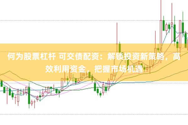 何为股票杠杆 可交债配资：解锁投资新策略，高效利用资金，把握市场机遇