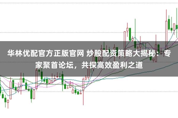 华林优配官方正版官网 炒股配资策略大揭秘:专家聚首论坛,共探高效盈利之道