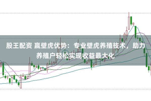 股王配资 赢壁虎优势：专业壁虎养殖技术，助力养殖户轻松实现收益最大化