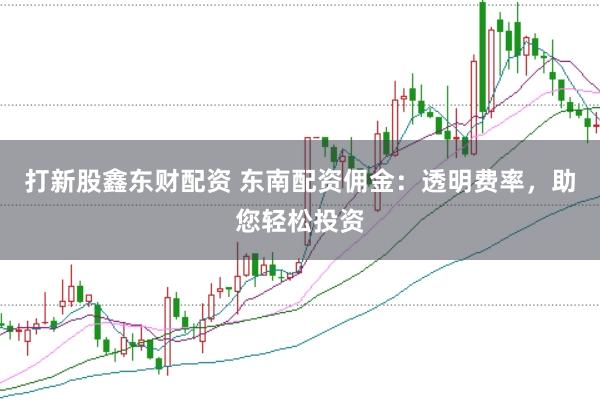 打新股鑫东财配资 东南配资佣金:透明费率,助您轻松投资