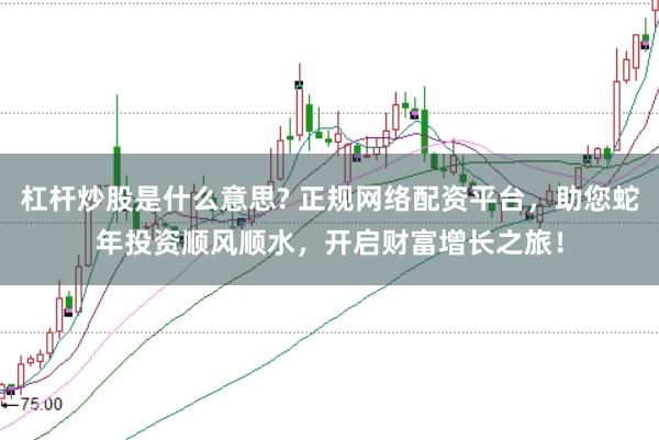 杠杆炒股是什么意思? 正规网络配资平台，助您蛇年投资顺风顺水，开启财富增长之旅！