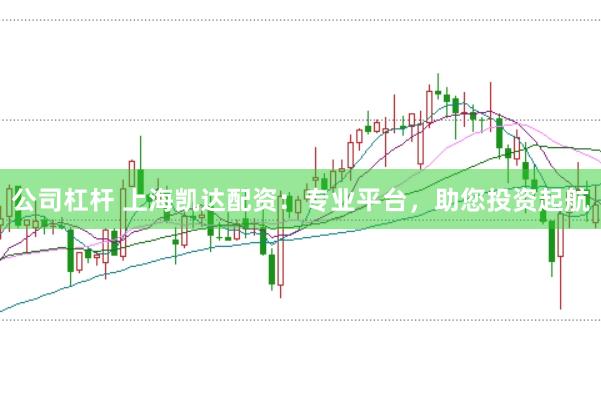 公司杠杆 上海凯达配资：专业平台，<a href=