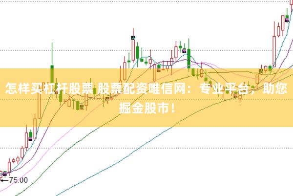怎样买杠杆股票 股票配资唯信网:专业平台,助您掘金股市!