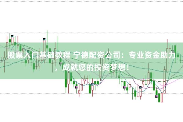 股票入门基础教程 宁德配资公司:专业资金助力,成就您的投资梦想!