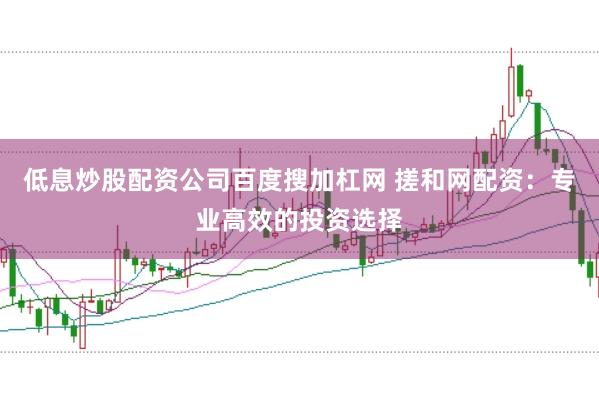 低息炒股配资公司百度搜加杠网 搓和网配资:专业高效的投资选择