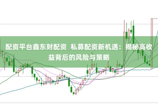 配资平台鑫东财配资 私募配资新机遇:揭秘高收益背后的风险与策略
