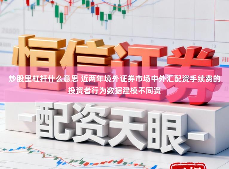 炒股里杠杆什么意思 近两年境外证券市场中外汇配资手续费的投资者行为数据建模不同资