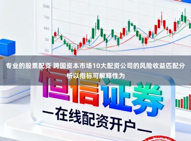 专业的股票配资 跨国资本市场10大配资公司的风险收益匹配分析以指标可解释性为