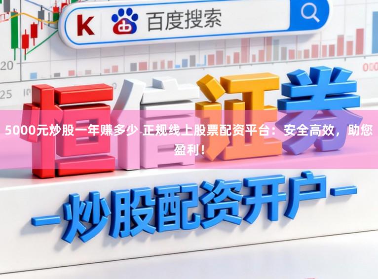 5000元炒股一年赚多少 正规线上股票配资平台：安全高效，助您盈利！