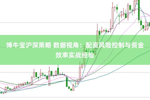 博牛宝沪深策略 数据视角：配资风险控制与资金效率实战经验